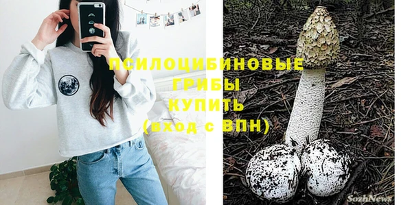 крисы Белокуриха