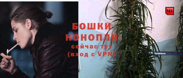 крисы Белокуриха