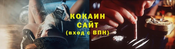 крисы Белокуриха