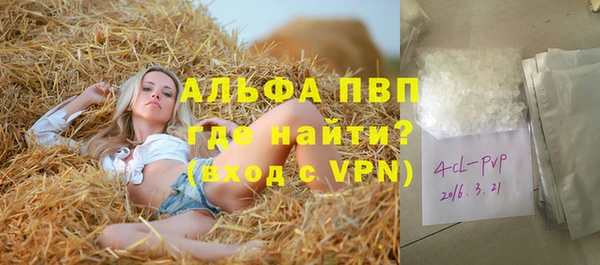 крисы Белокуриха