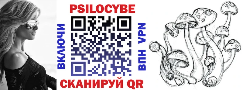 Галлюциногенные грибы Psilocybe  ссылка на мегу ССЫЛКА  Жуковка 